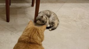 Когда с тобой никто не играет