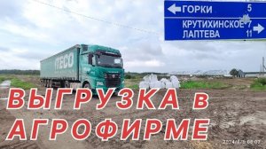 ✅ ВЫГРУЗКА В АГРОФИРМЕ. ОТПРАВИЛИ В СЕЛО.