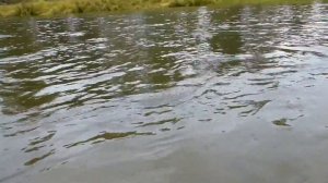 РБ. Река Зилим. Деревня Кузнецовка