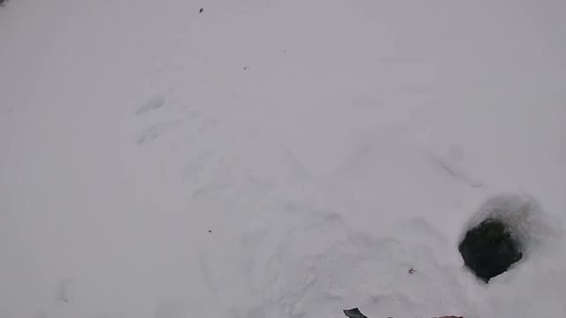 Три дня наедине с Печорой \ Часть 5 \ Достойный улов \ Скоро ВЕСНА смотреть онлайн