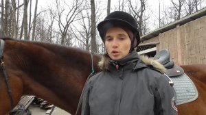 Недопустимые методы работы с лошадью