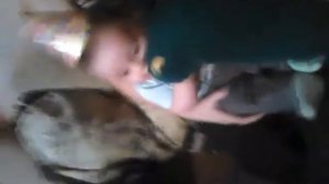 Крокодил напал на ребенка