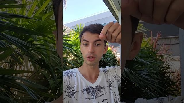 Иерархия Сил Света. И кастовая система. Ответы Фидря Юрий