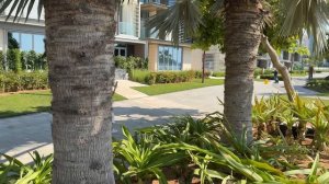 Сколько можно заработать на вторичной недвижимости в Дубае: Обзор района Bluewaters | Инвестиции