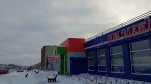 Западная Сибирь ❄️ ( -10°С ) 3 ноября 2023 г.