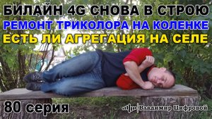 Билайн 4G снова в строю, ремонт Триколор, есть ли агрегация на селе | Владимир Цифровой | 80 серия