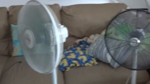 My Portable Fan Collection of 2012