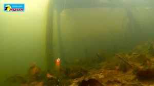 Блесна зимняя AQUA Клык