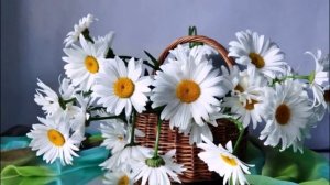 Ромашка.Песня под гитару