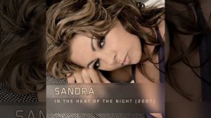 In The Heat Of The Night (Future Vision Remix / Radio Edit)