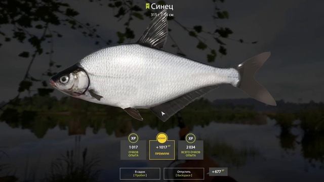 Русская Рыбалка 4 - РР4 | 4 ТРОФЕЯ ЗА 1 ЧАС – СИНЕЦ, ПОДУСТ, ГУСТЕРА | р. Волхов смотреть онлайн