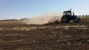 Слепое боронование подсолнечника МТЗ 1021