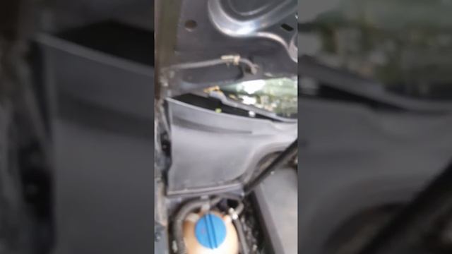 COMO REPARAR FILTRACIÓN DE AGUA AL INTERIOR DEL VW BORA 2005 смотреть онлайн