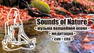 Музыка волшебной осени • медитация • сон • спа • Sounds of Nature