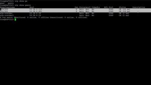 Основы SIP. Входящие INVITE-ы. На примере Asterisk.
