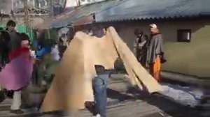 Крылья из картона