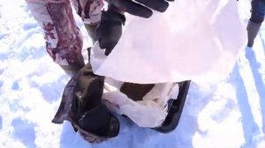 Как, суровые сибирские мужики, мормыша добывают. Ловля мормыша зимой.