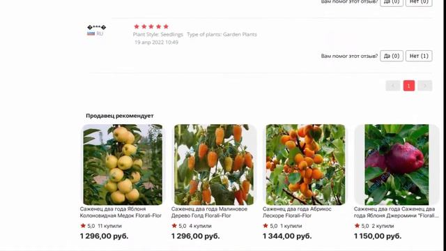 Саженец два года Груша колонна Даликор Florali Flor смотреть онлайн