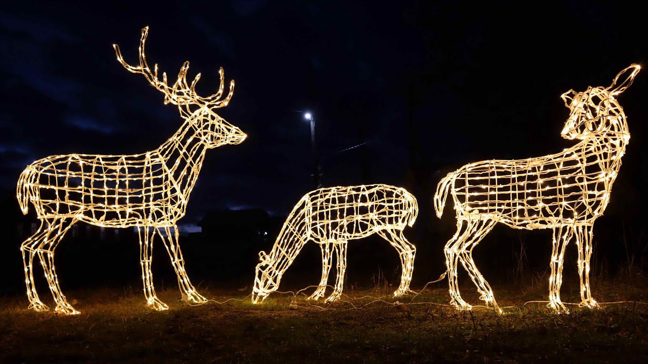 Семья оленей в гирляндах. смотреть онлайн