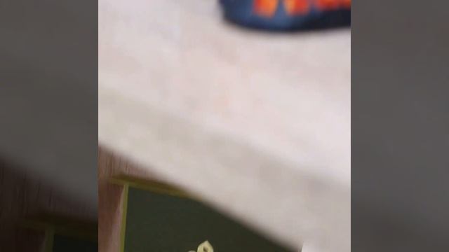 14 октября 2023 г. смотреть онлайн