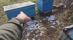 Как зимуют пчёлы в ульях за 300гр ПРОБЛЕМЫ ПОТОЛОЧИН В ЗИМУ ✅☝️?