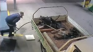 Умные Камеры. До смерти смеха.