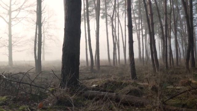 Плутон - Планета тайн, смерти и возрождения - Плутон в Астрологии