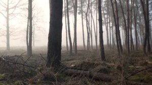 Плутон - Планета тайн, смерти и возрождения - Плутон в Астрологии