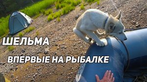 Шельма. Впервые на рыбалке в лодке.