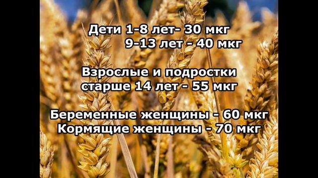 Селен (Se) - польза для здоровья, дефицит и избыток, продукты, богатые селеном смотреть онлайн