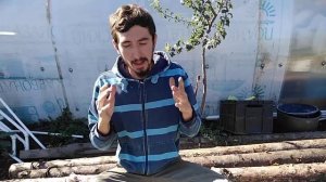 Личное подсобное хозяйство - выгодно или нет? Часть 2/2