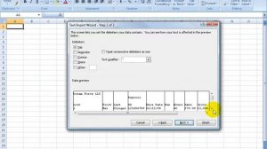 Excel 2007: Import Text Files
