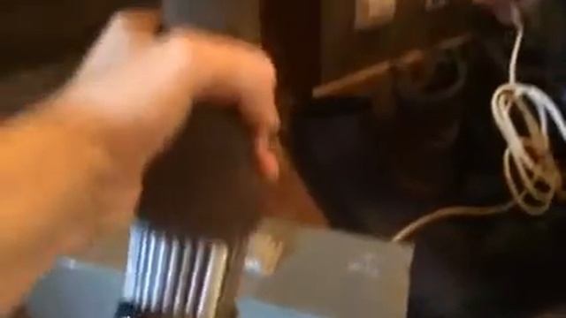 Электростригальный агрегат для стрижки овец смотреть онлайн