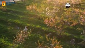 Вид на Синьцзян-уйгурский автономный район с высоты птичьего полета.