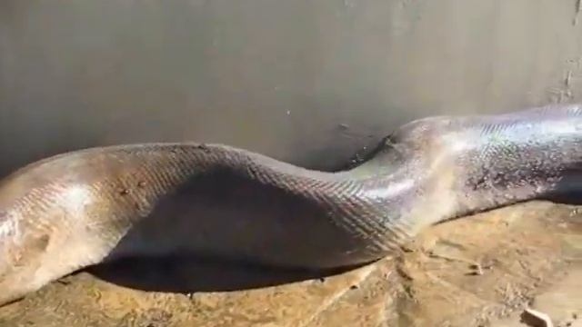 Оказывается нужно быть очень внимательным к необычному порой предмету. смотреть онлайн