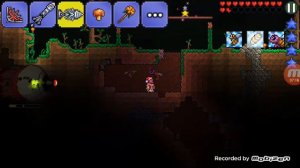 Первые святые слитки. Terraria.