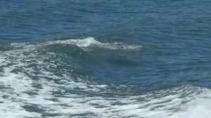 Скрипка и море...Edvin Marton-Tosсa Fantasy...Музыка души