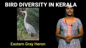 Kerala Biodiversity-BSc Geography -Geography of Kerala-Kerala University