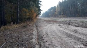 Удачное открытие загонной охоты на копытных в Беларуси