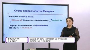 Биология. 9 класс. Закономерности наследования признаков, выявленные Г. Менделем