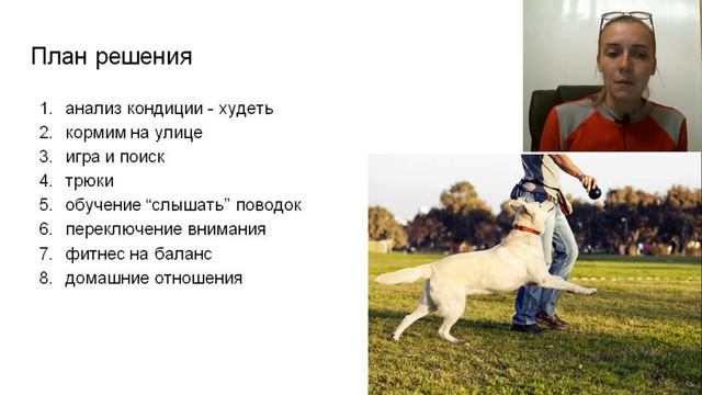 как отучить тянуть поводок? как отучить тянуть поводок лабрадора? смотреть онлайн