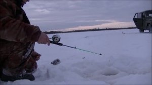 Хороший клёв щуки и крупного окуня.