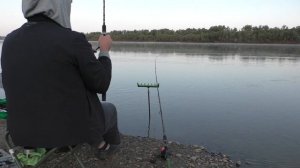 Ловля леща на фидер поздним летом. Рыбалка на Иртыше. Прикормка FEEDERBAIT и VABIK на реке #OmskFis