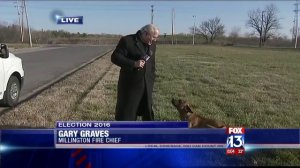 Уличный пес пытается подружиться с репортером 