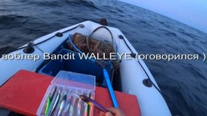 Воблер Bandit Shallow Walleye . Воблеры Bandit Deep Walleye . Тест на воде.