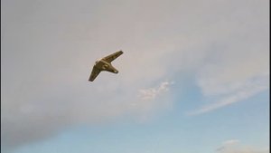 За синими морями. Самолет Aggressor Long Range FPV.