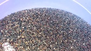 Каша из амаранта зелёного: готовим семя амаранта + дегустация продукта.