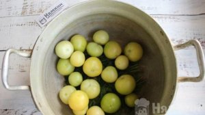 Квашеные зеленые помидоры с укропом в кастрюле