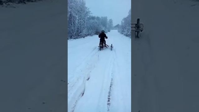 Самодельная коляска для мопеда Вираго