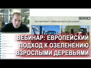 Bystron - европейский подход к озеленению взрослыми деревьями.